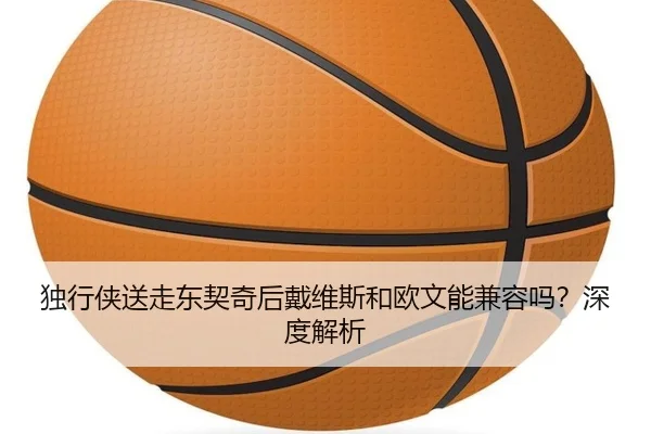 独行侠送走东契奇后戴维斯和欧文能兼容吗？深度解析